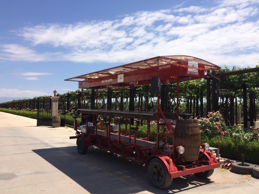 Mendoza: Winebike Tasting Tour with Optional Lunch - Should you book the Winebike tour?