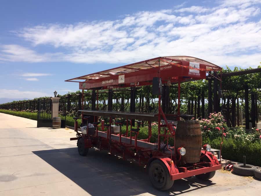 Mendoza: Winebike Tasting Tour with Optional Lunch - The multi-bike ride through vineyard country