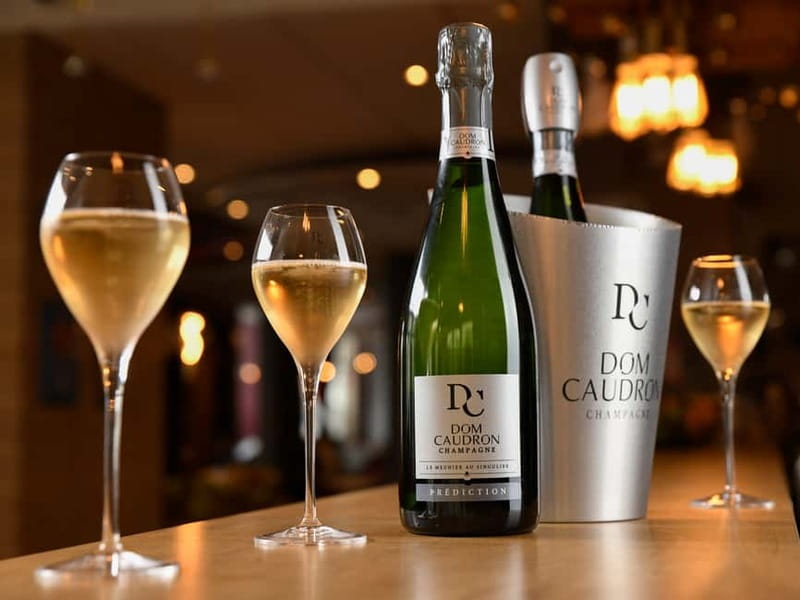 Meunier Champagne Experience tour - Passy-Grigny - A Meunier lesson in the Marne Valley