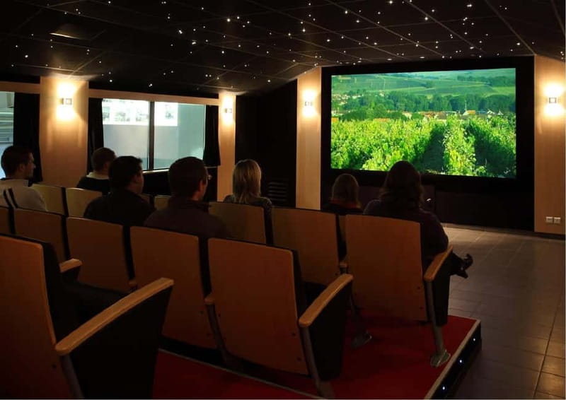 Meunier Champagne Experience tour - Passy-Grigny - Starting at Champagne Dom Caudron