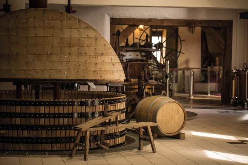 Meunier Champagne Experience tour - Passy-Grigny - The short film and the outdoor walk