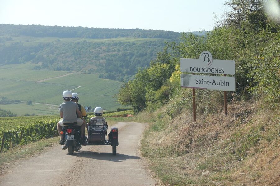 Meursault: Tour of the Vineyards on Motorbike with Sidecar - How to fit it into a Burgundy day