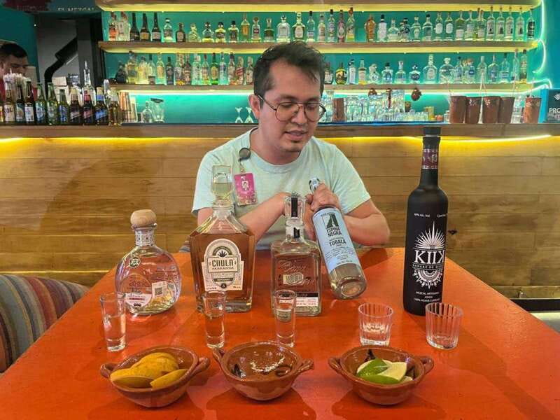 Mexico City: Tequila and Mezcal Museum Tour with Tasting - From agave plant to finished spirit