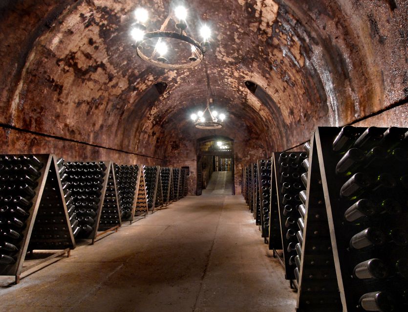 Milan: Franciacorta Winery and Bergamo Day Trip with Lunch - Why Bergamo is a smart first stop