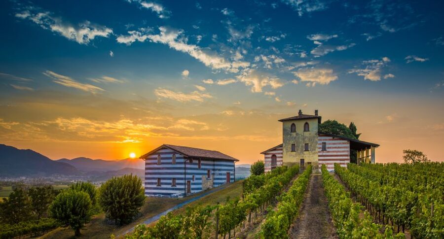 Milan: Franciacorta Winery and Bergamo Day Trip with Lunch - Following the Franciacorta Wine Route