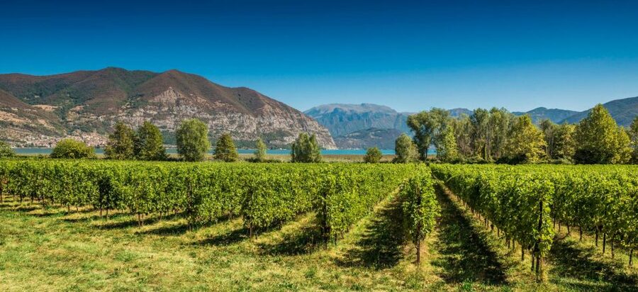 Milan: Franciacorta Winery and Bergamo Day Trip with Lunch - Who will enjoy this day most?