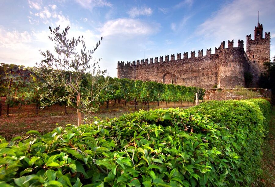 Milan: Franciacorta Winery and Bergamo Day Trip with Lunch - Practical advice for a smoother day