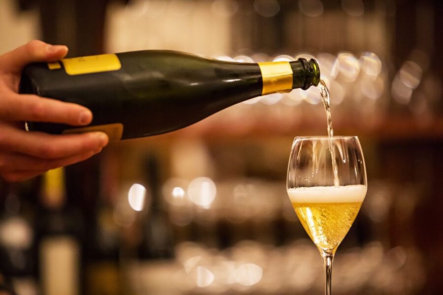 Milan: Wine Tasting Experience in the City Centre - Key points to know before booking