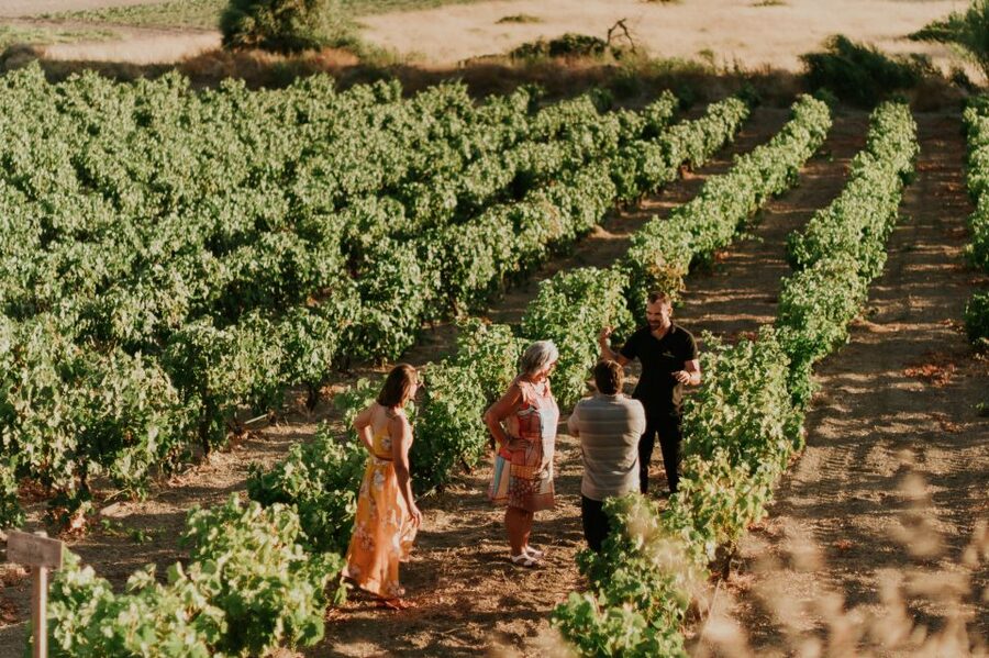 Milos Island: Kostantakis Winery Wine Tasting Experience - Who will enjoy this Milos wine tasting?