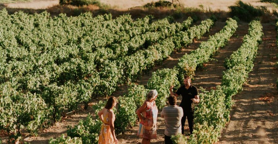 Milos Island: Kostantakis Winery Wine Tasting Experience - Practical tips before you go