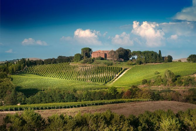 Montalcino: Brunello Wine Tasting Experience - Why the castle changes the tasting