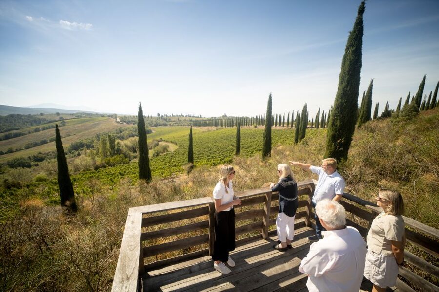 Montalcino: Guided Winery Tour and Wine Tasting - Why this Montalcino visit is worth your time