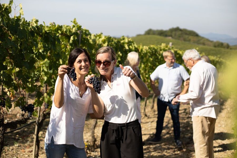 Montalcino: Guided Winery Tour and Wine Tasting - The vineyard walk explains where Brunello begins