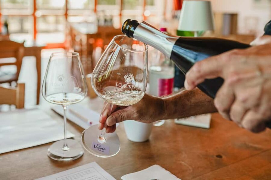 Montalcino: Guided Winery Tour & Gourmet Food Tasting - Is $94 a fair price?