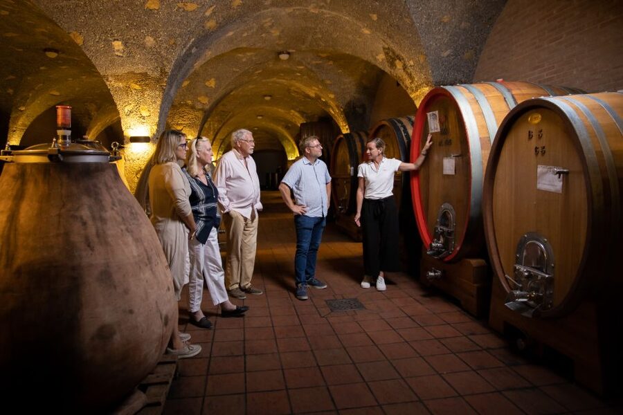 Montalcino: Guided Winery Tour & Gourmet Food Tasting - Practical advice before you go
