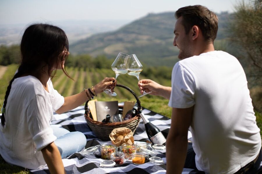 Montalcino: Vineyard Picnic with a Bottle of Wine - Key points at a glance