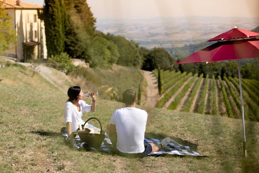 Montalcino: Vineyard Picnic with a Bottle of Wine - A vineyard picnic with Montalcino in view