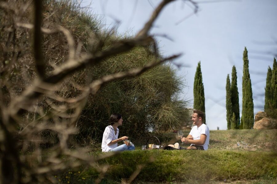 Montalcino: Vineyard Picnic with a Bottle of Wine - The optional one-hour vineyard and cellar visit