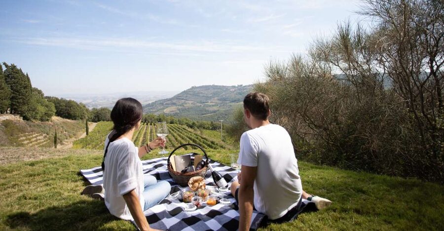 Montalcino: Vineyard Picnic with a Bottle of Wine - Choosing the right wine option