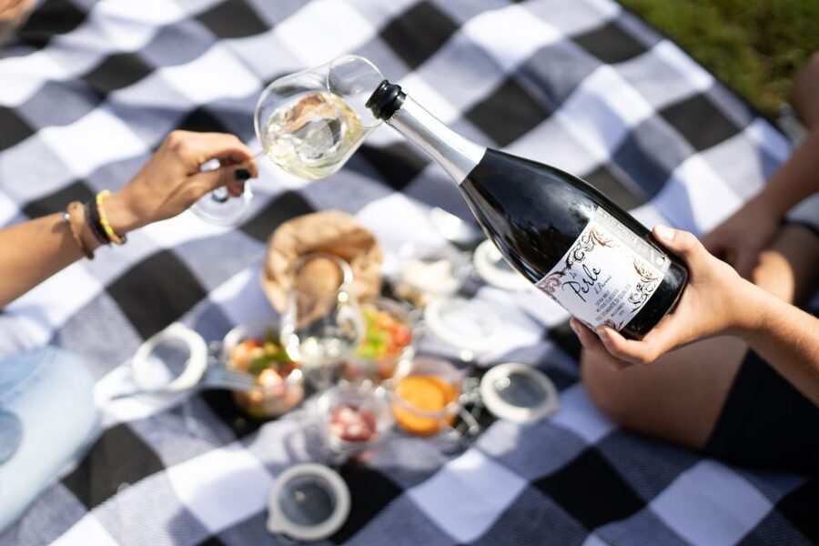 Montalcino: Vineyard Picnic with a Bottle of Wine - Timing, weather, and comfort