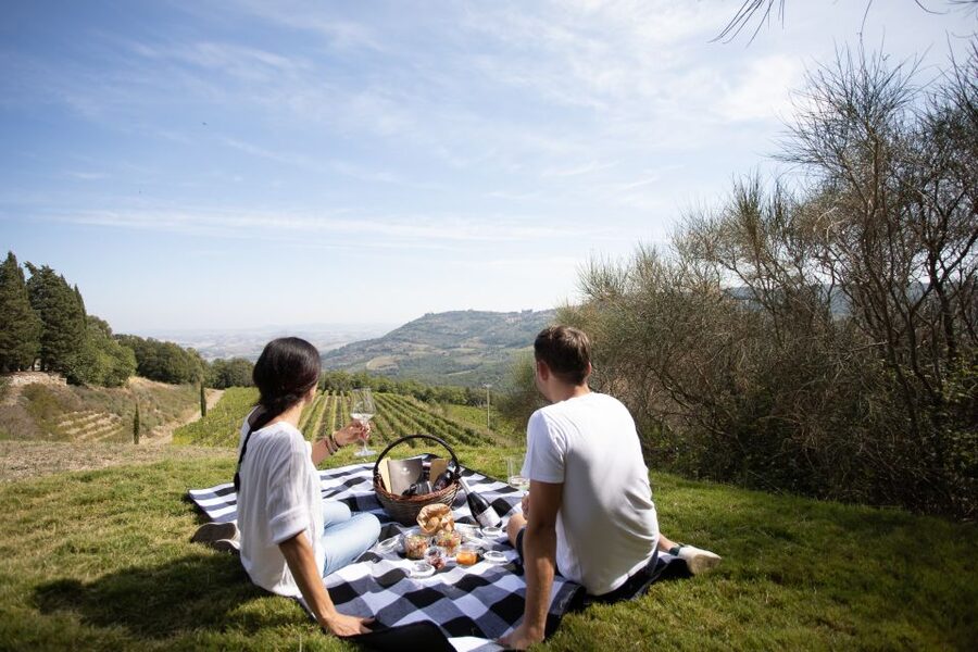 Montalcino: Vineyard Picnic with a Bottle of Wine - Finding Corte Pavone from Montalcino