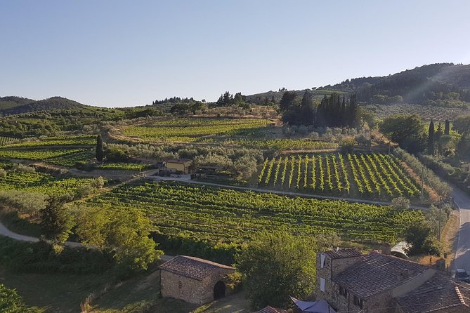 Montefioralle Winery - Tour and Wine Tasting in Chianti - A small winery below Montefioralle village