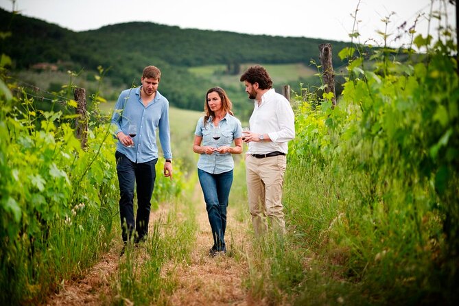 Montefioralle Winery - Tour and Wine Tasting in Chianti - Four wines, from Chianti Classico to Vin Santo
