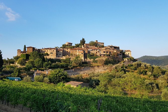Montefioralle Winery - Tour and Wine Tasting in Chianti - Is $42.24 a fair price?