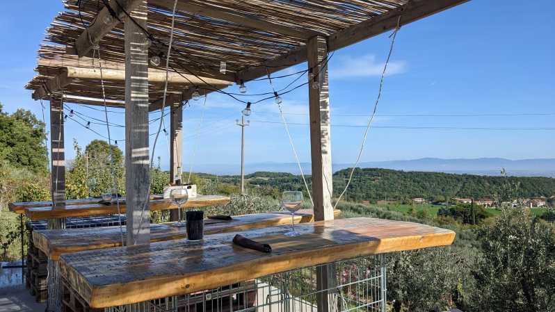 Montepulciano: Artisan Heroic Wine Tasting at the Terrace - Walking the vines near Sant’Albino