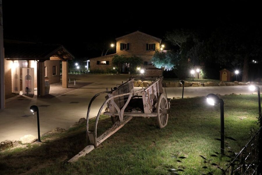 Montepulciano: Tuscan Winery Tour with Wine Tasting & Meal - A table between the vines