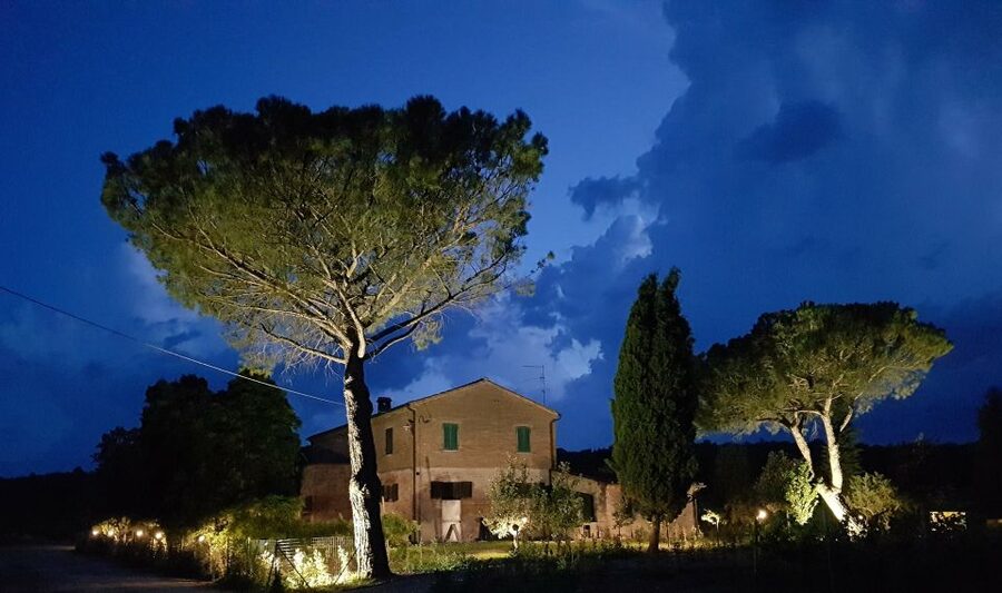 Montepulciano: Tuscan Winery Tour with Wine Tasting & Meal - Four courses, from antipasti to dessert