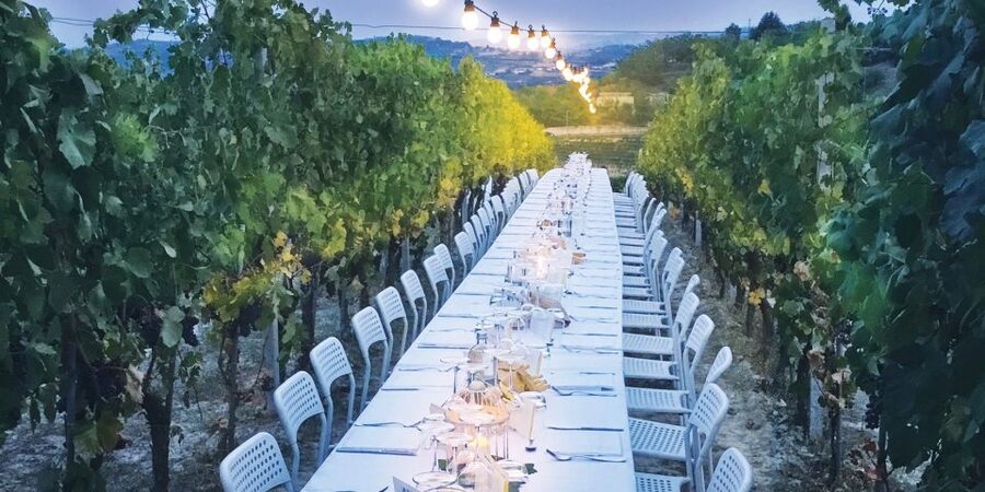 Montepulciano: Tuscan Winery Tour with Wine Tasting & Meal - The guides make the difference