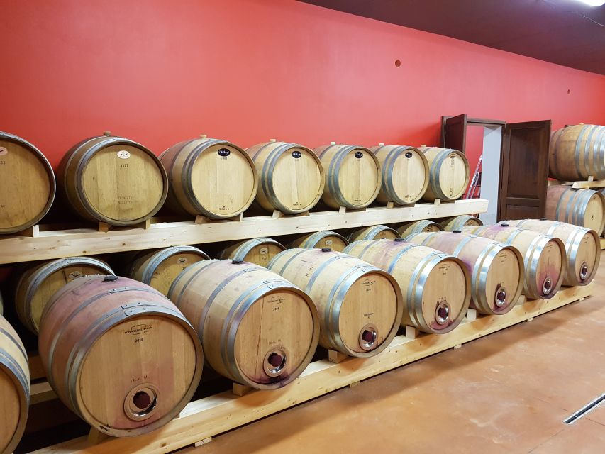 Montepulciano: Tuscan Winery Tour with Wine Tasting & Meal - Inside the cellar: grapes, fermentation, and aging