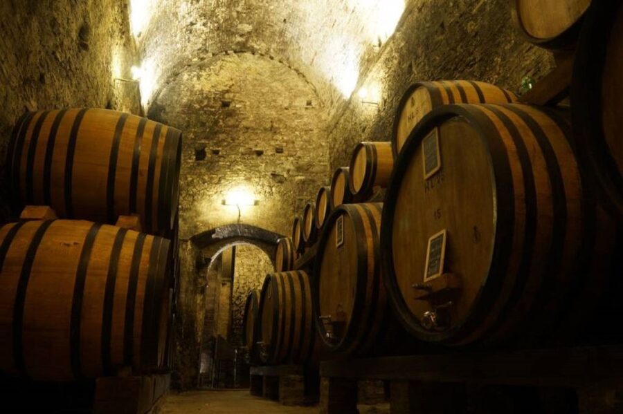 Montepulciano: Wine Tasting and Cellar Tour - Going underground among the barrels