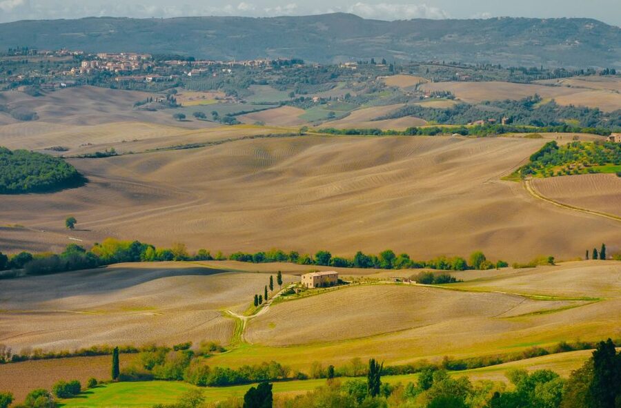 Montepulciano: Wine Tasting & Lunch in a Typical Winery - Going below Montepulciano in the ancient cellar