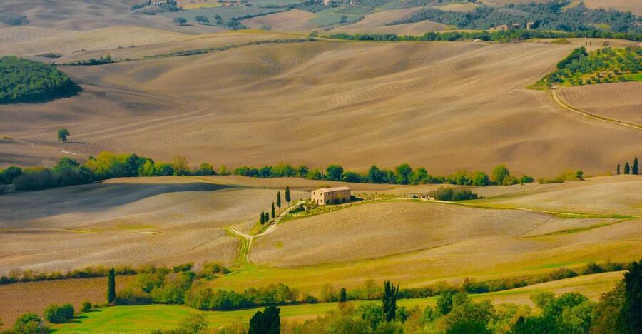 Montepulciano: Wine Tasting & Lunch in a Typical Winery - A Tuscan lunch with cold cuts, cheese, and pasta