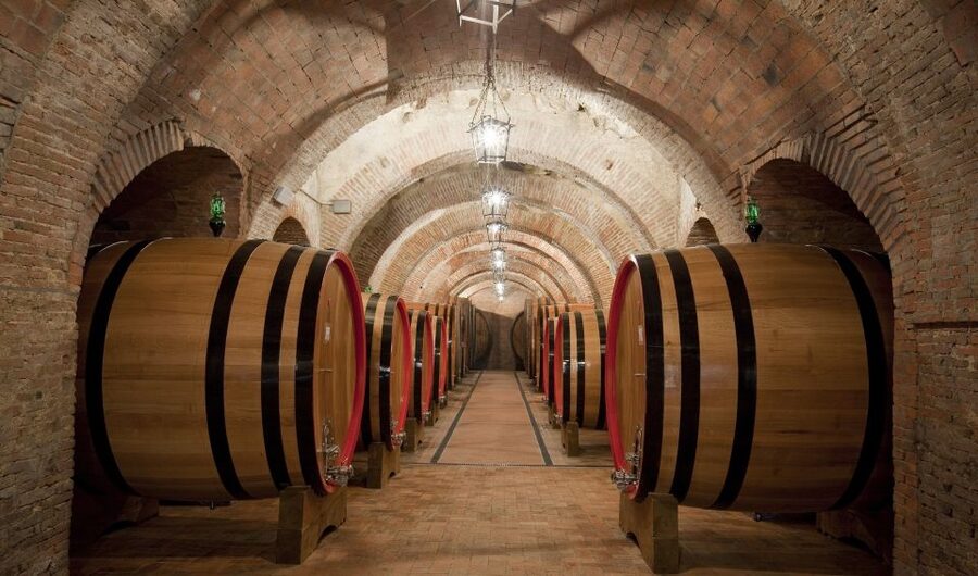 Montepulciano: Wine Tasting & Lunch in a Typical Winery - Four wines from the Montepulciano area