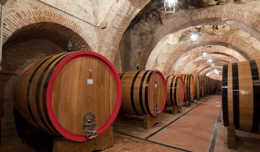 Montepulciano: Winery Tour and Tasting - How much value do you get for $41?