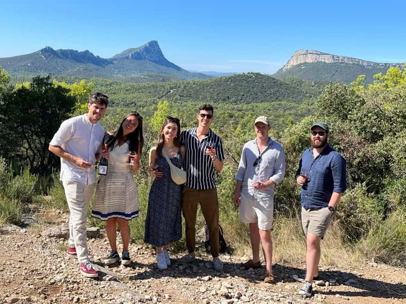 Montpellier: Pic Saint-Loup Wine Tour - Why Pic Saint-Loup makes a good half-day escape