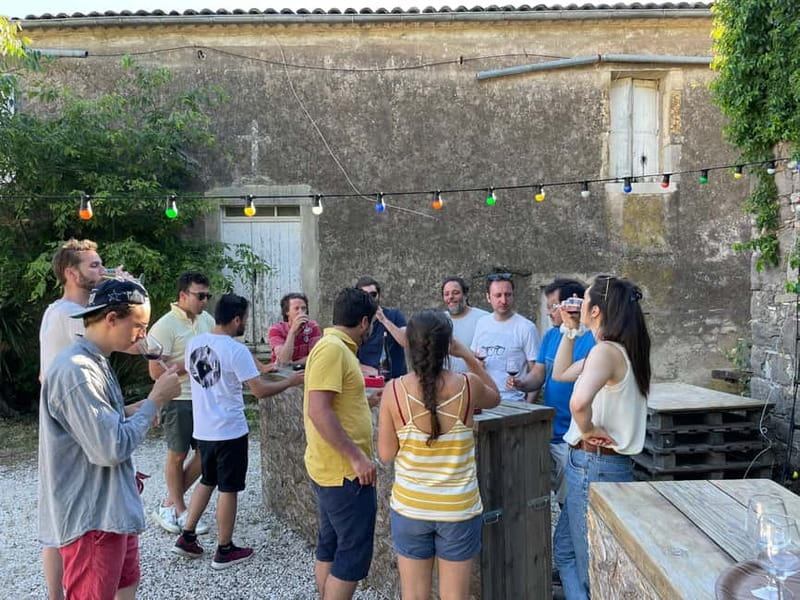 Montpellier: Pic Saint-Loup Wine Tour - Scenic drives, viewpoints, and a medieval village