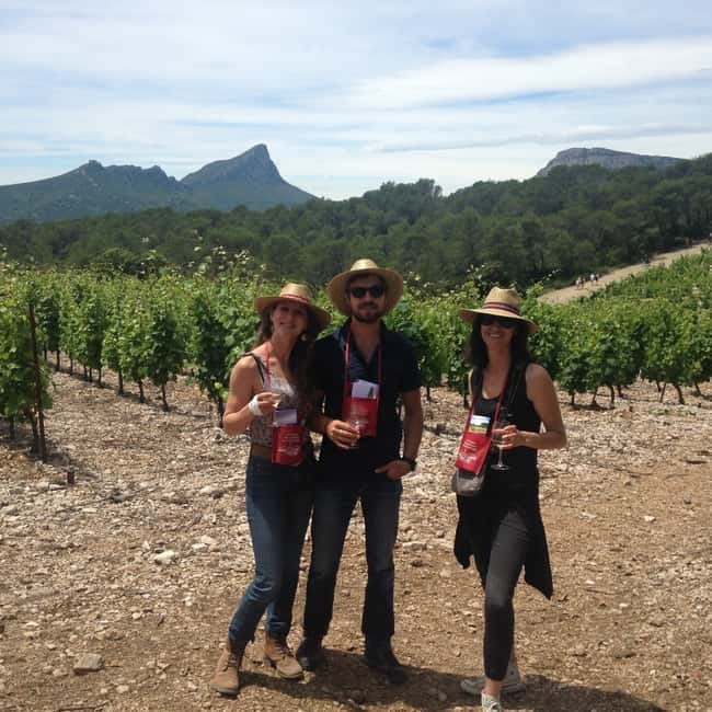 Montpellier: Pic Saint-Loup Wine Tour - Who will enjoy this tour most