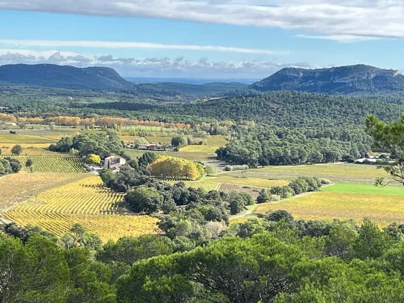 Montpellier: Pic Saint-Loup Wine Tour - Booking tips for a smoother day