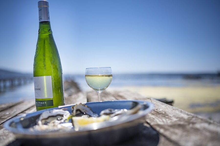 Montpellier Wine and Oyster Tour - Tasting oysters close to the water