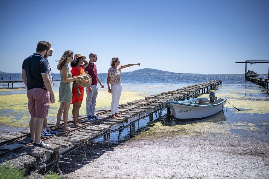 Montpellier Wine and Oyster Tour - Is $106 a fair price?