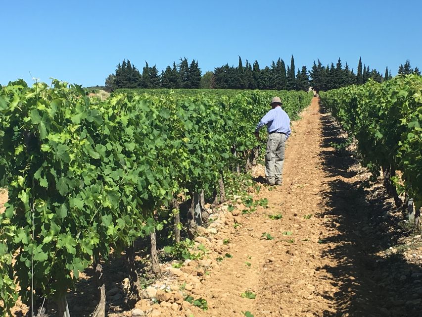Montpellier Wine and Oyster Tour - Meeting at Esplanade de l’Europe