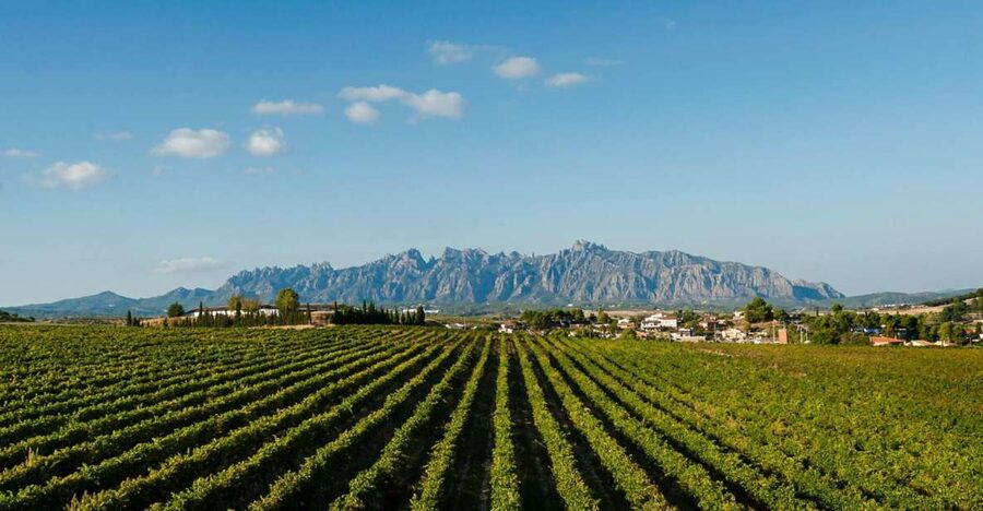 Montserrat & Cava Wineries Day Trip from Barcelona w/ Pickup - The morning drive from Barcelona to Montserrat