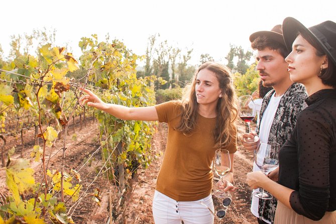 Montserrat & Cogwheel Train, Gourmet Wine Tasting & Tapas/Lunch - Is $81.02 a good value?