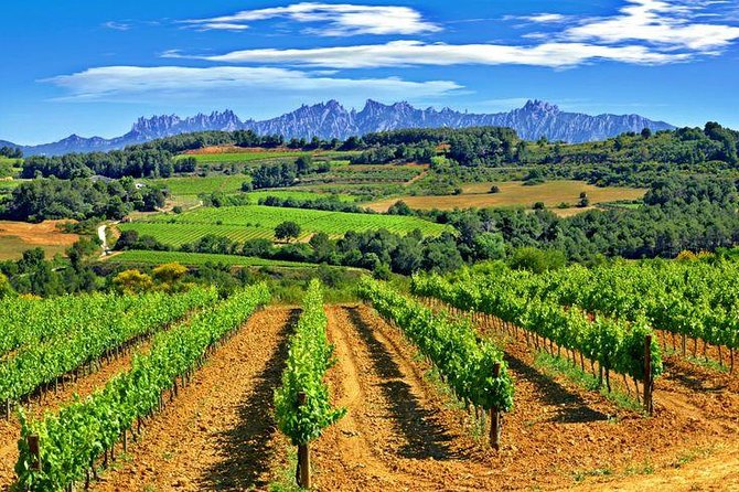 Montserrat,Vineyard, Wine Tasting Small Group Tour & Hotel Pickup - The Basilica and the Black Madonna