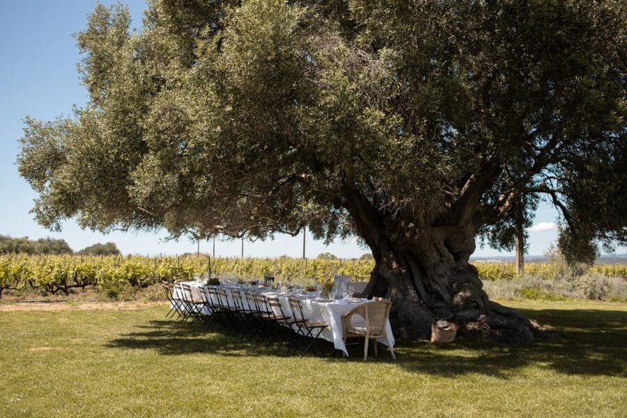 Morgado do Quintão Lunch and Wine Tasting - A three-course Algarvian farmers’ table