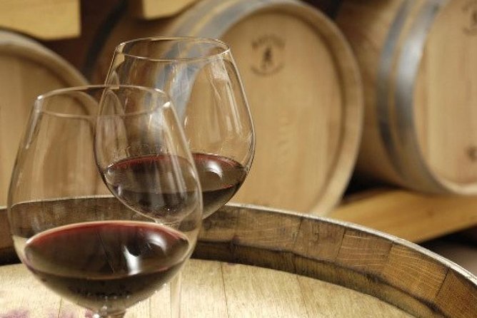 Morning Wine Tour to Chateauneuf du Pape from Avignon - Why the four-hour length works